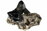 Natural Smoky Quartz Crystal Cluster - Point!!! #104109-1